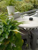 Guesthouse Next to beach - B&B Batum