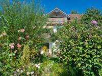 Traumhafte Gartenwohnung in Überlinger Hanglage - Zur goldenen Kiwi - Ferienwohnung Überlingen