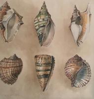 Studio - Vue sur Mer