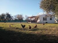 Casa de Campo Los Manueles Ideal Perros Pet Friendly - B&B Gójar