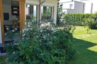 Wohnung mit Balkon in Velden - Appartment BERGE byTILLY - B&B