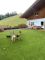 B&B Wegscheid - Urlaub mit Hund im Salzburger Land - Bed and Breakfast Wegscheid