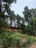 la casita del bosque - B&B