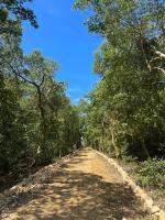 Casa Manglar - Chambres d’hôtes