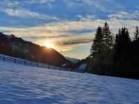 Ferienwohnung Eleonora - B&B Ochsengarten