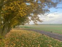 Willow Cottage at Gravel Farm - Ferienwohnung Stretham