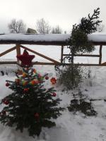 Villa con 1 Camera da Letto