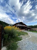 Cabană la poalele munților cu ciubăr - B&B Jieț