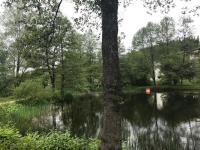 MySchluchseehome Gemütliche Ferienwohnung mit Südbalkon und Pool im Haus - Chambres d'hôtes Schluchsee