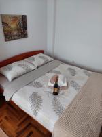 B&B Kraljevo - Apartman Đorđević - Bed and Breakfast Kraljevo