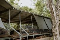 Posto Letto in Dormitorio per 6 Persone