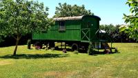 Tisza White House - Bed and Breakfast