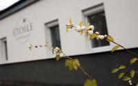 Étoile Apartman - B&B