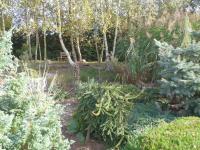 Domek blisko granicy u Darka - Bed and Breakfast
