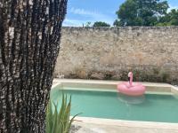 B&B Campeche - La Casa Rosal, Pool - Bed and Breakfast Campeche