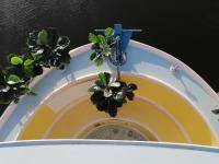 Esprit Péniche - B&B Nantes