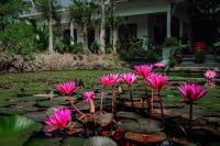 Marari Ebin Charlys - B&B