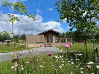 Hollicarrs - Newlands - B&B