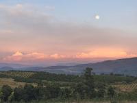 KatiKati Eco Lodge - B&B White River