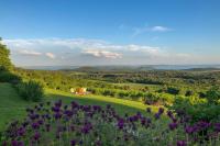 B&B Balatonszőlős - Hantos Pince Vendégház - Hantos Cellar Guesthouse - Bed and Breakfast Balatonszőlős