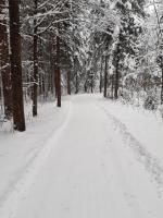 Apartamento - Planta baja