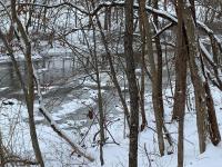 Cozy Creekside Cabin in the heart of Hocking Hills - Chambres d'hôtes Laurelville