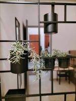 Apartment - Erdgeschoss