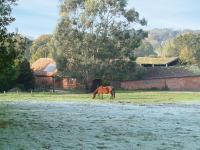 B&B Ellingham - Brook Barn - Bed and Breakfast Ellingham