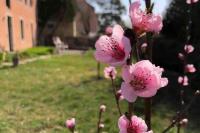 Ferienwohnung um`s Eck - B&B Ochsenfurt