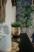 Luxury Quadruple Room