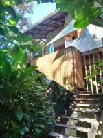 Jungle Paunch - B&B Bocas del Toro