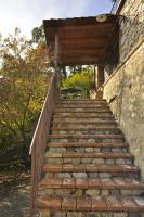 Apartment mit Gartenblick