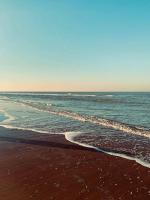 Appartement Avondgroet ruim centraal terras - Ferienwohnung De Haan