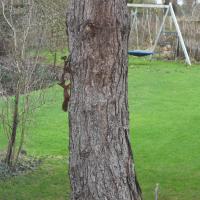 Au four et au jardin - B&B