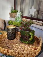 Mountain Peak Apartment - Bed and Breakfast