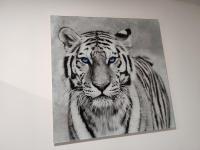 Eye of the Tiger. Apartament w centrum Mrągowa. - Bed and Breakfast Mrągowo