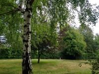 El Estribo Sur Bariloche Cabaña amplia tradicional - Chambres d’hôtes Bariloche