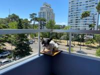 Excelente y práctico - B&B Punta del Este