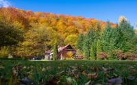 Cottage by the river Valea Draganului - Bed and Breakfast Poieni