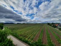 Weinseelig14 - B&B Landau