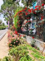 Mare e Relax Portosole - B&B Sanremo