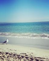 The Beach Box - B&B