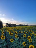 Cabaña El Encuentro - Ferienwohnung San Carlos de Bolívar