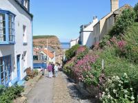 B&B Staithes - Felicity Cottage - Bed and Breakfast Staithes