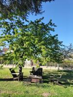 Petit cocooning Au cœur de la Sologne - Chambres d’hôtes Romorantin