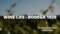 B&B San Rafael - Cabañas Wine Life - Bodega 1920 - Bed and Breakfast San Rafael