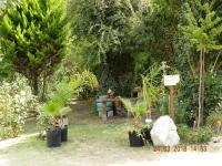 ALOJAMIENTO SERRANO BIS - B&B Villa Giardino