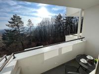 NeNi Apartman - Ferienwohnung Vrnjačka Banja