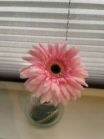 MR Ferienwohnung - Wohnung Emma - B&B Schellerten