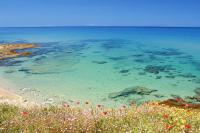 Apartment - Il Paradiso - where dreams come true - B&B